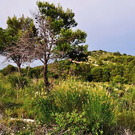 Holiday home Holiday Panorama-4 *